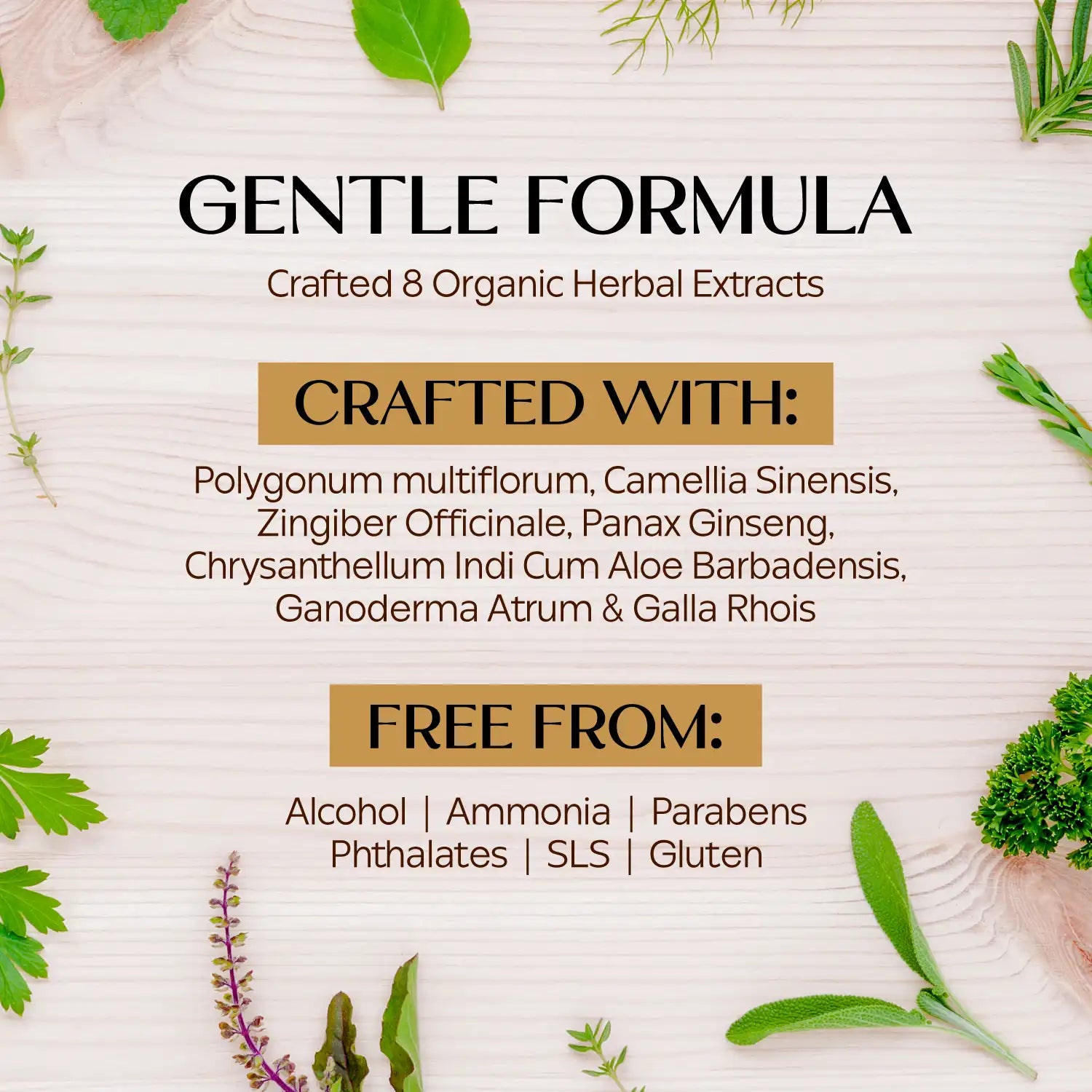 StayMyx Gentle Hair Color Formula Crafted with 8 Organic Herbal Extracts including Ginseng, Aloe Vera, and Ginger, Free From Ammonia, Parabens, SLS, and Alcohol for Sensitive Scalp Care.